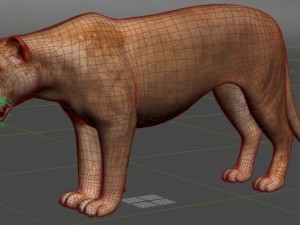 lioness Modèle 3D