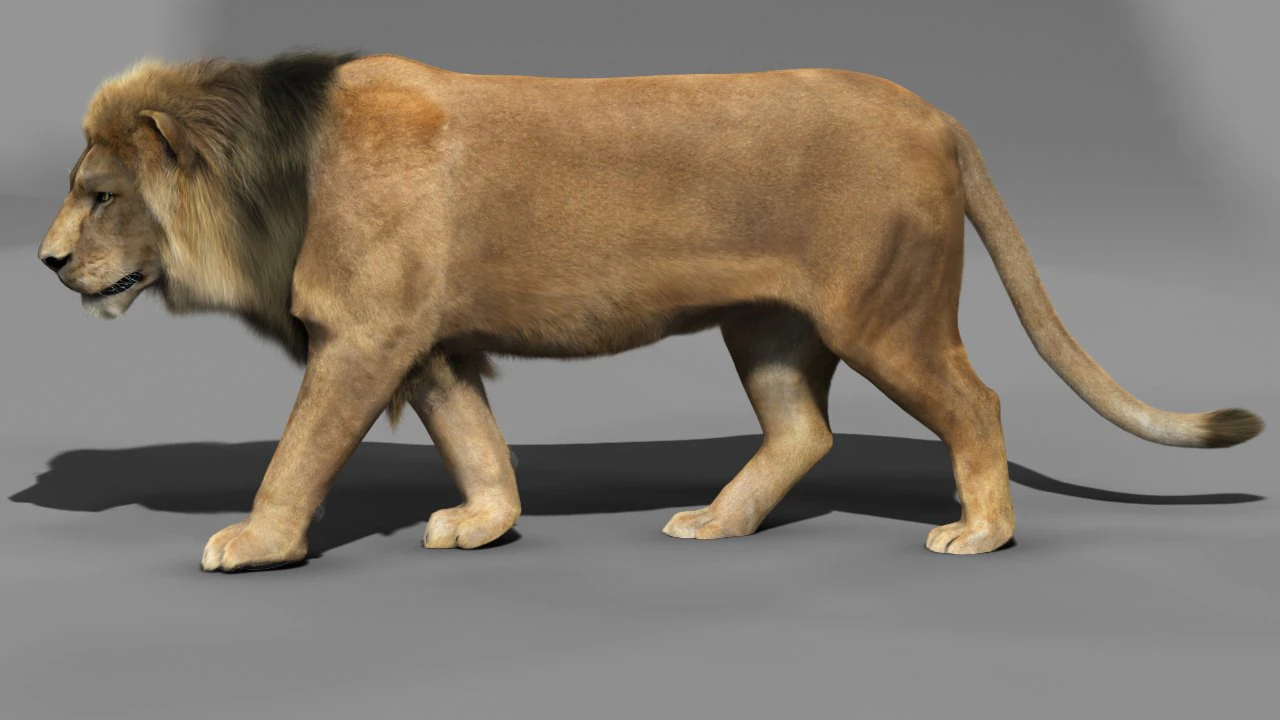 lion 3D Model .c4d .max .obj .3ds .fbx .stl .blend 