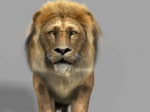 lion 3D-Modell