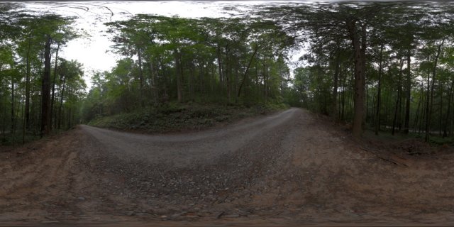 forest hdr 360 panorama CG टेक्स्चर्स .c4d .max .obj .3ds .fbx .stl .blend 