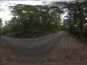 forest hdr 360 panorama CG Tekstury