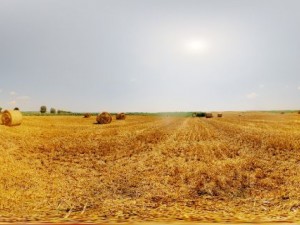 field hdri CG Textures