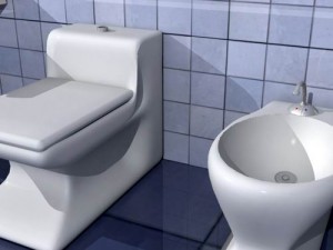 high poly toilet 3D Model