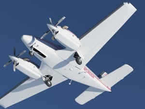 cougar baron 3D मॉडल
