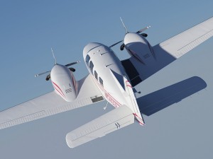 cougar baron 3D मॉडल