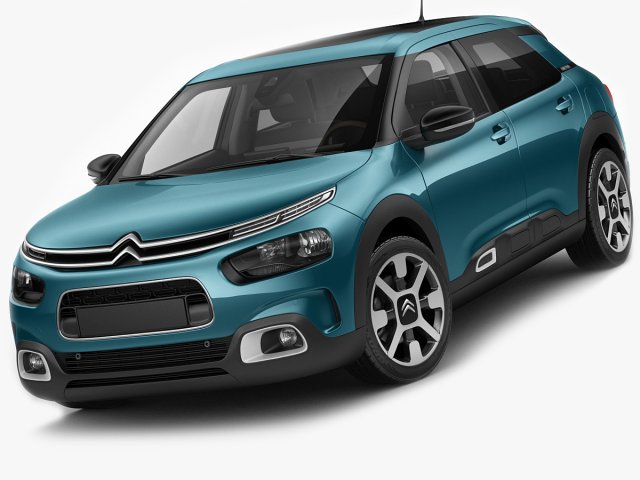 C4 cactus miniature best sale