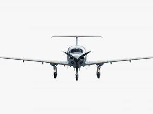 Diamond DA50 RG 3D Model