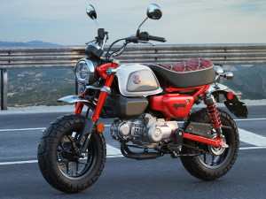 2019 honda monkey for sale near me best sale
