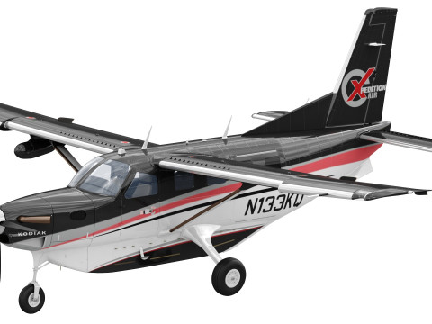 Kodiak 100 3Dモデル