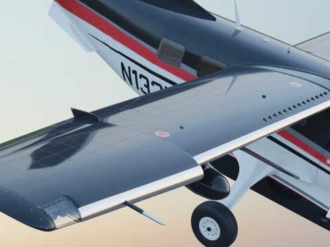 Kodiak 100 3Dモデル