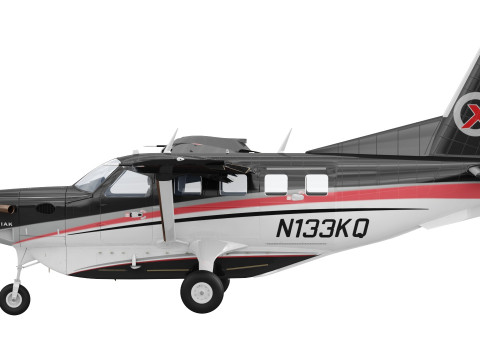 Kodiak 100 3Dモデル