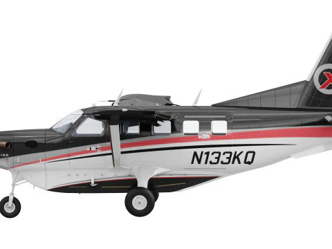 Kodiak 100 Modello 3D