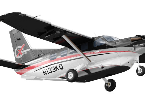 Kodiak 100 3Dモデル