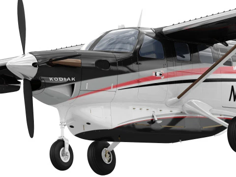 Kodiak 100 Modello 3D