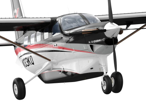 Kodiak 100 Modello 3D