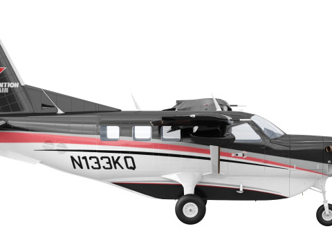 Kodiak 100 3Dモデル