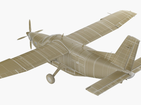 Kodiak 100 3Dモデル