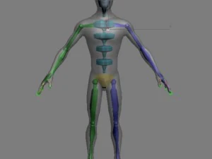 spiderman 3D Model