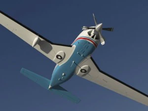 piper meridian 3D Model