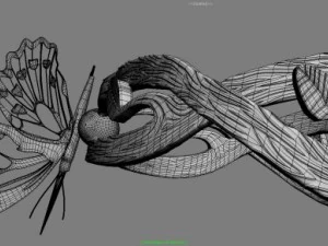 Schmetterlingsring 3D Modell