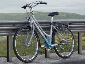 generic womans bicycle 3D Модель