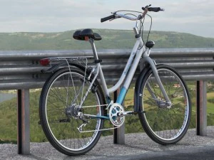 generisches Damenfahrrad 3D Modell