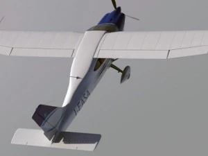 tecnam p2010 3D Model