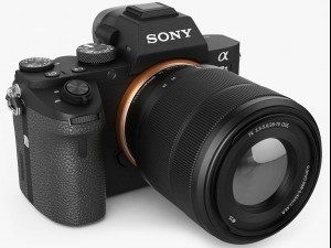 sony alpha 7 ii with two lenses 3D Model