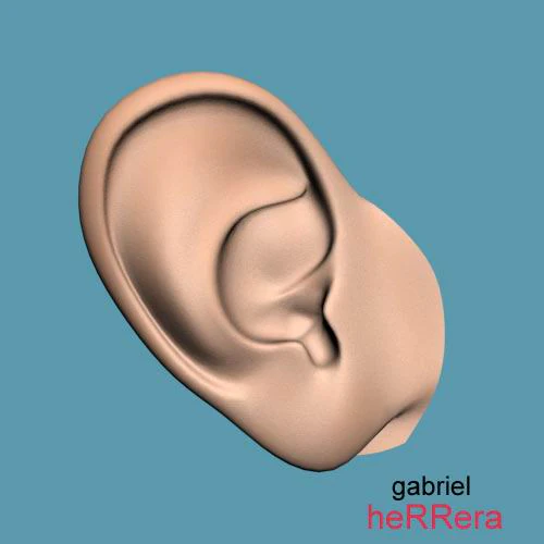 ear 3D Model .c4d .max .obj .3ds .fbx .stl .blend 