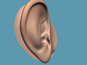 ear Modelo 3D
