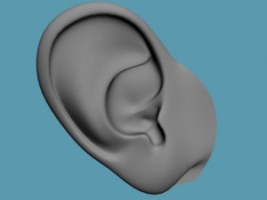 ear Modelo 3D