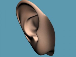 ear Modelo 3D