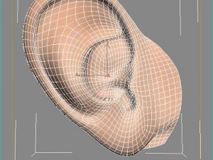 ear Modelo 3D