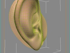 ear Modelo 3D