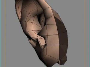 ear 3D Model