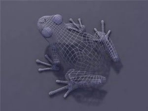 grenouille Modèle 3D