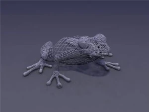 grenouille Modèle 3D