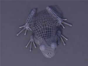 frog 3Dモデル
