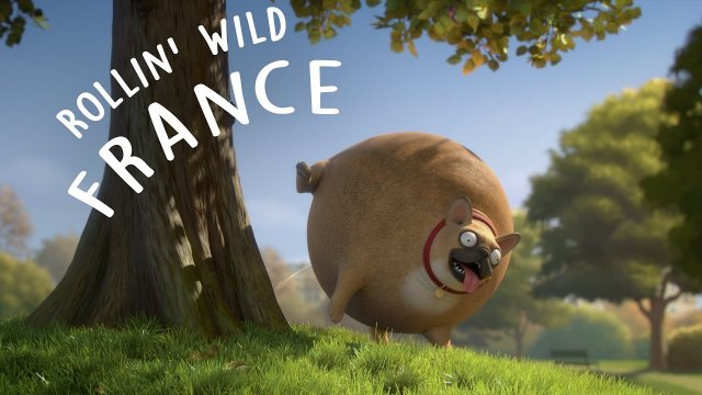 Rollin France - what if animals were round