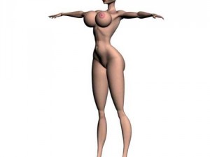 nata Modelo 3D