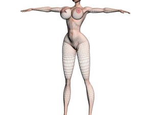 nata Modelo 3D