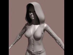穿盔甲的扎塔女人 3D 模型