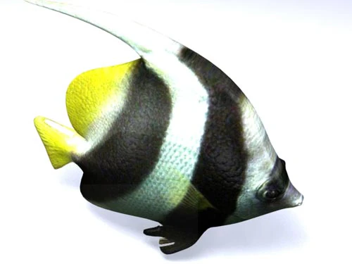 poisson fish 3D Model .c4d .max .obj .3ds .fbx .stl .blend