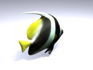 poisson fish 3Dモデル