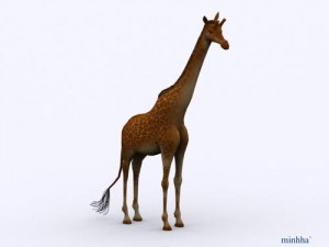 giraffe Model 3D