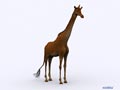 giraffe Model 3D