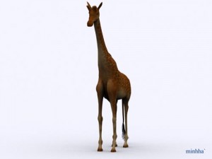 giraffe 3D Модель