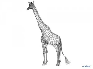 giraffa Modello 3D