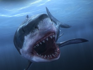 Animated great white shark 3D-Modell