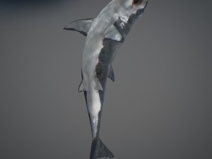 Animated great white shark 3D-Modell